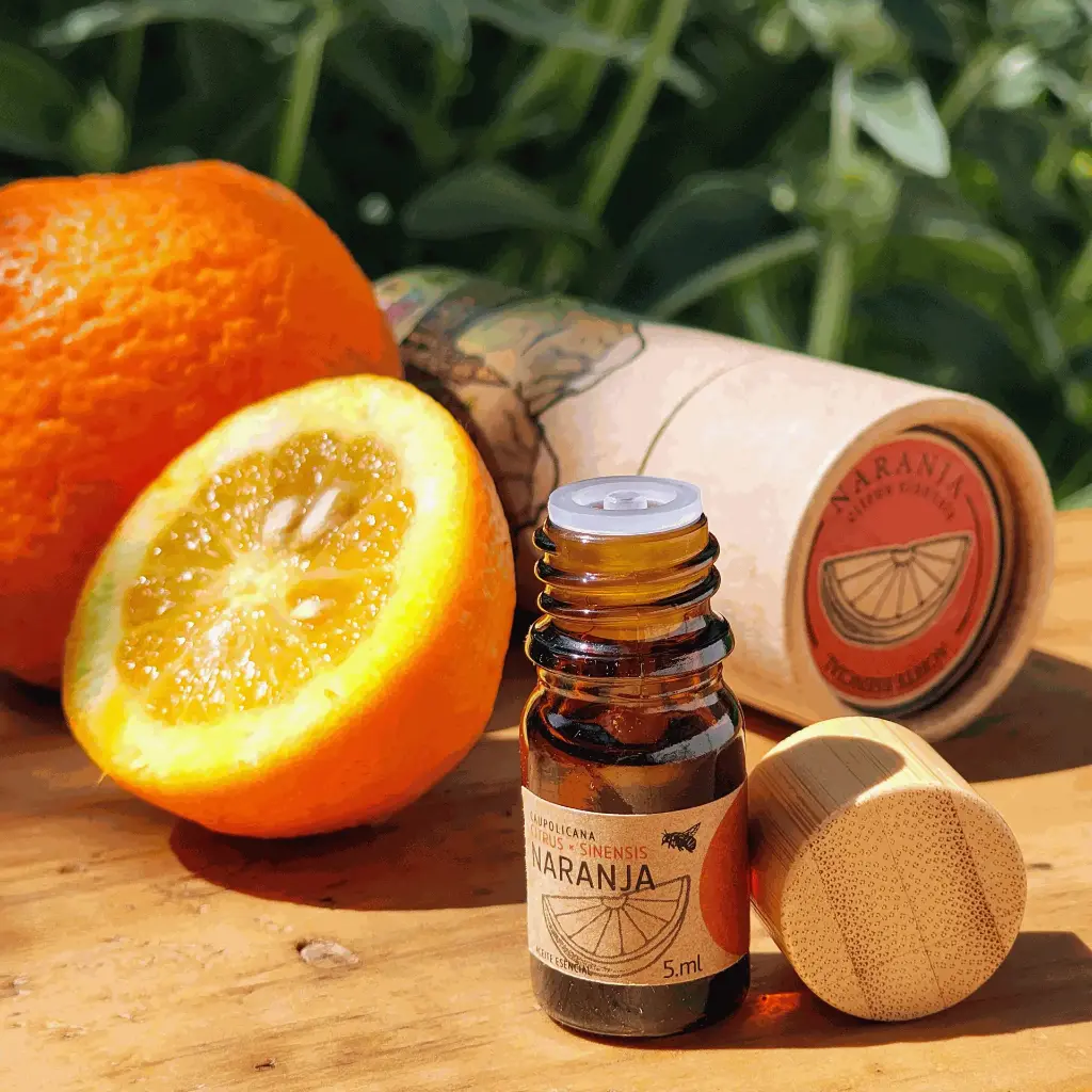 Naranja | Citrus × sinensis