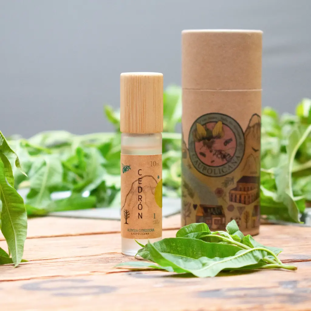 Cedrón (5 ml.)