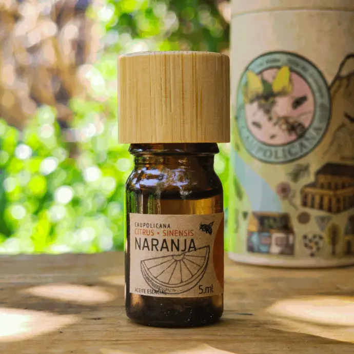 Naranja | Citrus × sinensis