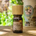 Naranja | Citrus × sinensis