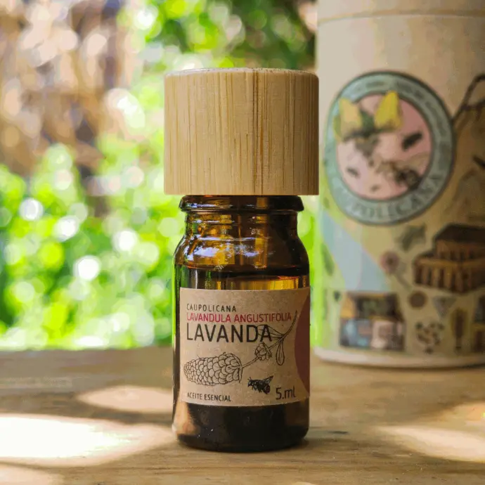 Lavanda | Lavandula angustifolia