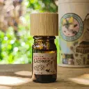 Lavanda | Lavandula angustifolia