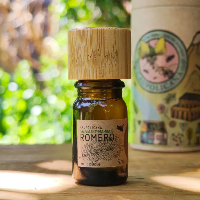 Romero | Salvia rosmarinus