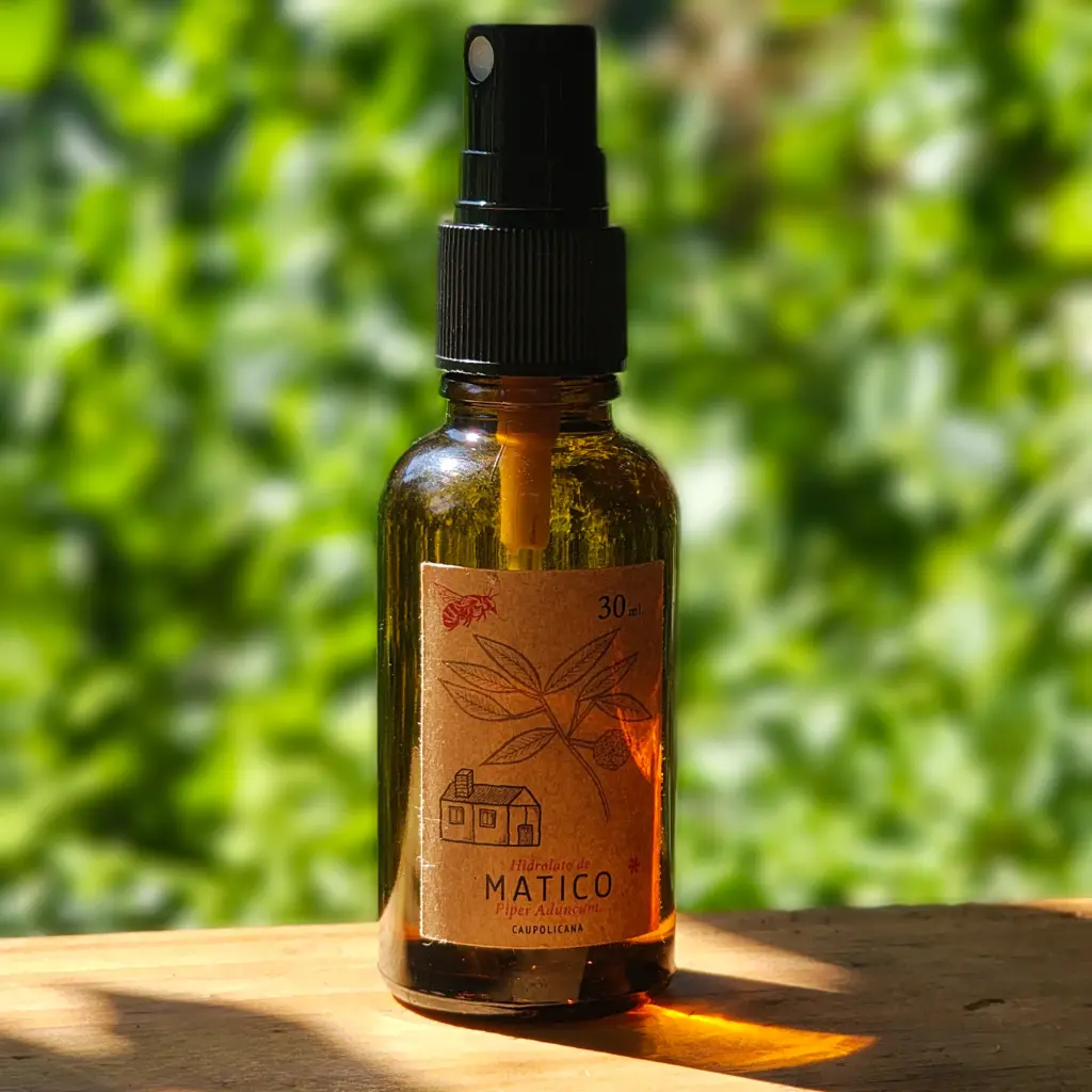 Hidrolato de Matico (30 ml.)