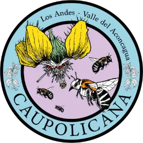 Caupolicana