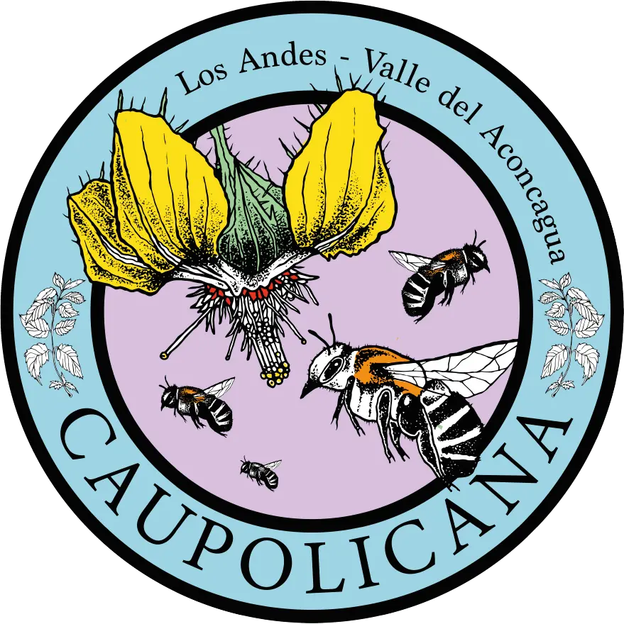 Caupolicana